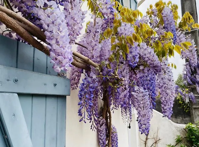 Bed & Breakfast La Poterie 3*